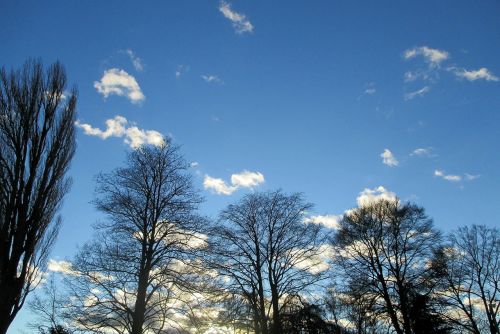 Vakaras, Nuotaika, Saulėlydis, Twilight, Medžiai, Debesys, Dangus