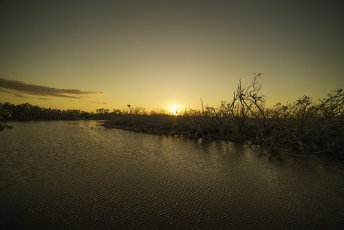 Everglades,  Pelkė,  Marsh,  Pobūdį,  Lauke,  Saulėlydžio,  Dangus,  Vandens,  Tvenkinys