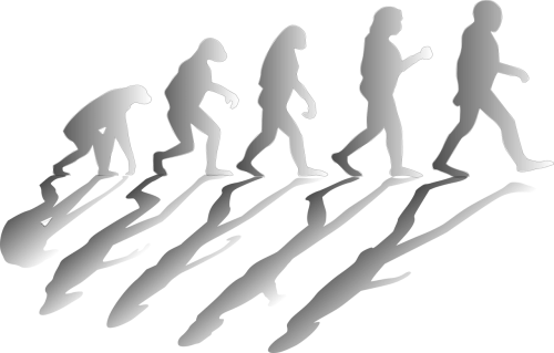 Evoliucija, Vystosi, Žmonija, Vyrai, Ape, Žmogaus Darvinas, Nemokama Vektorinė Grafika