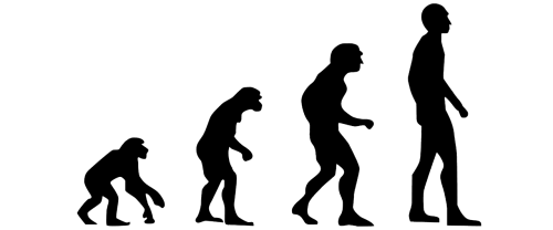 Evoliucija, Žmogaus Evoliucija, Evoliucijos Teorija, Charles Darwin, Prokonsulas, Austrelopithecus, Homo Habilis, Homo Sapiens