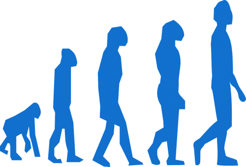 Evoliucija, Beždžionė, Vyras, Perėjimas, Neandertaliejus, Neandertaliečiai, Vertikaliai, Stovintis, Vaikščioti, Primatai, Charles Darwin, Darvinismas, Nemokama Vektorinė Grafika