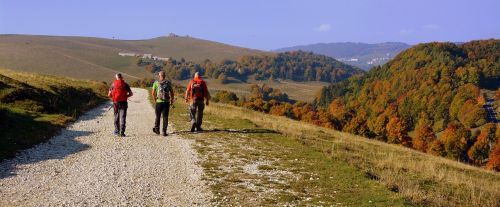 Ekskursija, Takas, Vaikščioti Su Lazdelėmis, Kalnas, Europinis Kelias, E5, Lessinia, Italy