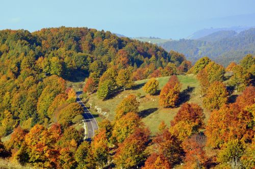 Ekskursija, Medžiai, Miškas, Ruduo, Takas, Kalnas, Europinis Kelias, E5, Lessinia, Italy