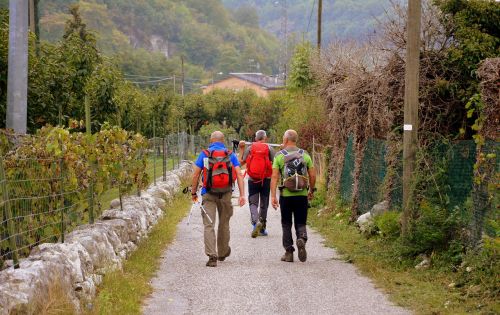 Ekskursija, Kelias, Alyvmedžiai, Valle, Takas, E5, Europietis, Lessinia, Kalnas, Europinis Kelias, Italy, Kuprinė