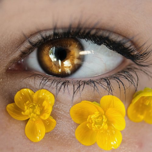 Akių,  Menas,  Gėlės,  Golden,  Makro