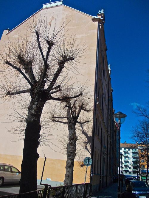 Fasadas, Medžio Atspalvis, Mariatorget, Stockholm