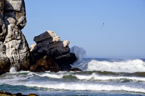 Veidas,  Rokas,  Pareidolija,  Žmogus,  Įsivaizduok,  Žmogaus & Nbsp,  Savybės,  Suvokimas,  Morro Roko Paplūdimio Veidas