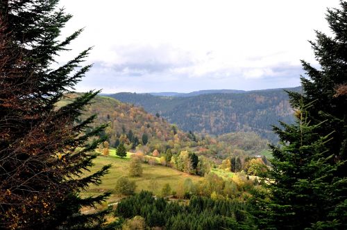 Kritimas, Vosges, Gamta, Kalnai, France