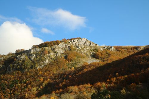 Kritimas, Kalnas, Ruduo, Kraštovaizdis, Gamta, Lauke, Spalva