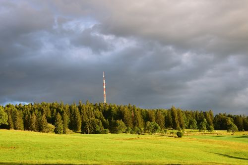 Kritimas, Miškas, Antena, Pilka