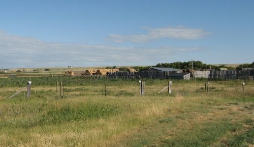 Ūkis, Ranča, Veisimas, Galvijai, Jautiena, Prairio Gyvenimas, Sask, Saskatchewan