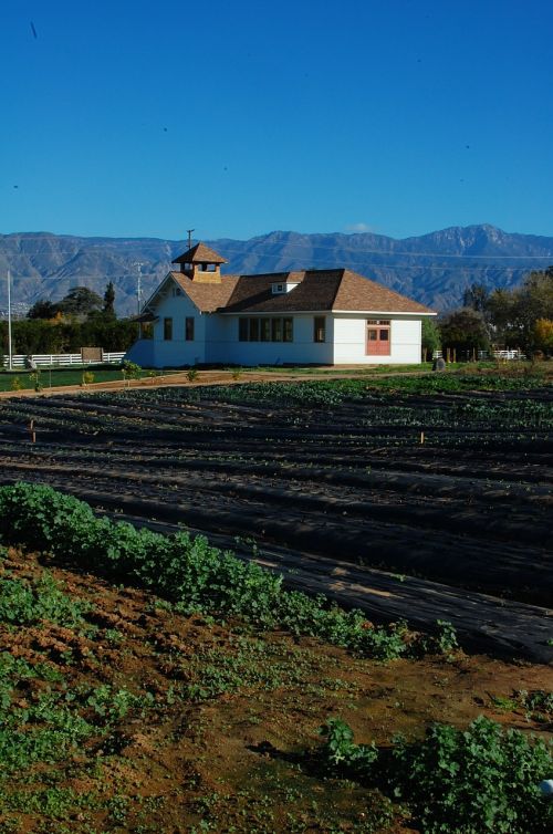 Ūkis, Kalifornija, Ekologinis Ūkininkavimas