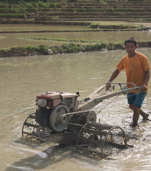 Ūkininkas, Laosas, Žemdirbystė, Darbas, Ūkis