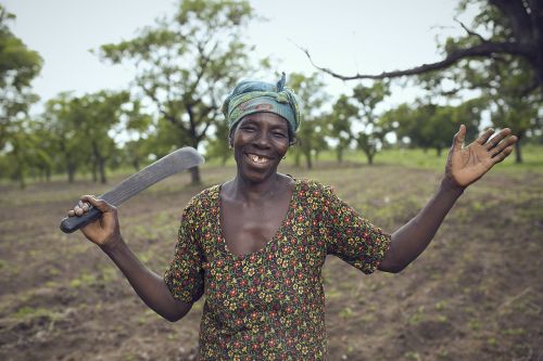 Ūkininkas, Afrika, Moteris, Moteris Ūkyje, Sodinti