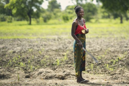 Ūkininkas, Afrika, Moterys, Juodaodė Moteris