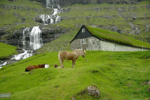 Farerų Salos, Kaskados, Arkliai, Fjordas