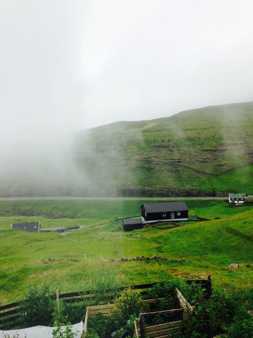 Farerų Salos, Rūkas, Faroe, Gamta, Žalias, Kraštovaizdis, Vaizdingas, Streimojus, Ramus, Lauke, Nordic