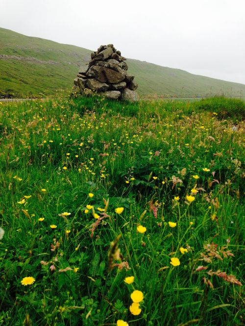Farerų Salos, Gamta, Faroe, Salos, Kraštovaizdis, Lauke, Kelionė, Fotografija, Žolė, Žalias, Skandinavija, Debesuota