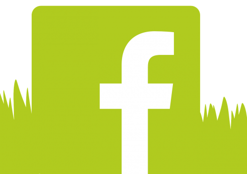 Fb, Facebook, Logotipas, Socialinis, Nemokama Vektorinė Grafika