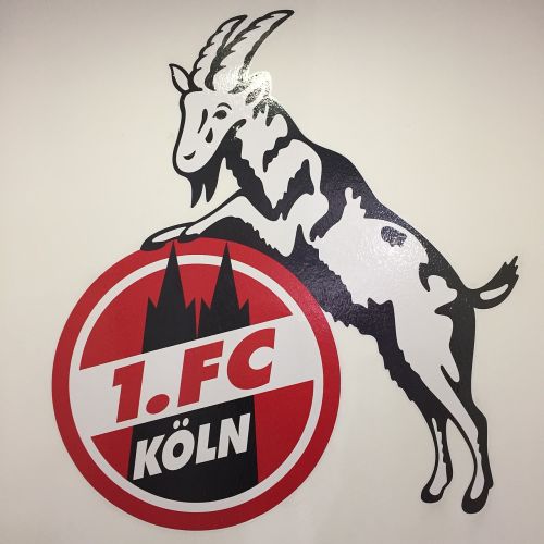 Fc Köln, Bundesliga, Logotipas, Futbolas, Klubas, Vokietija, Dinamika, Vėliava, Futbolo Fanas