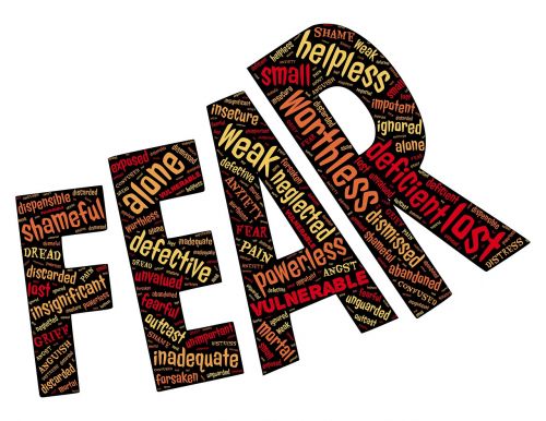 Baimė, Emocija, Nerimas, Pažeidžiamumas, Poveikis, Baimė, Rūpestis, Sumišimas, Abejonių, Baimės, Siaubas, Panikos, Panika, Įtarimas, Teroras, Nerimauti, Nerimas, Nerimauti, Kvailys, Agitacija, Priešiškumas, Nelaimė, Priekabiavimas, Stresas, Išsigandęs, Išsigandęs, Montavimas