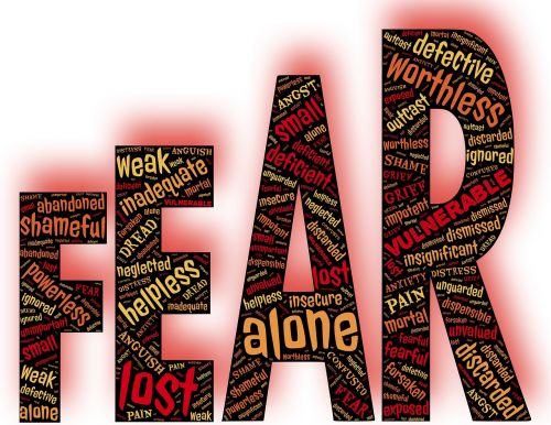 Baimė, Emocija, Nerimas, Pažeidžiamumas, Poveikis, Baimė, Rūpestis, Sumišimas, Abejonių, Baimės, Siaubas, Panikos, Panika, Įtarimas, Teroras, Nerimauti, Nerimas, Nerimauti, Kvailys, Agitacija, Priešiškumas, Nelaimė, Priekabiavimas, Stresas, Išsigandęs, Išsigandęs, Šešėlis, Pakilimas