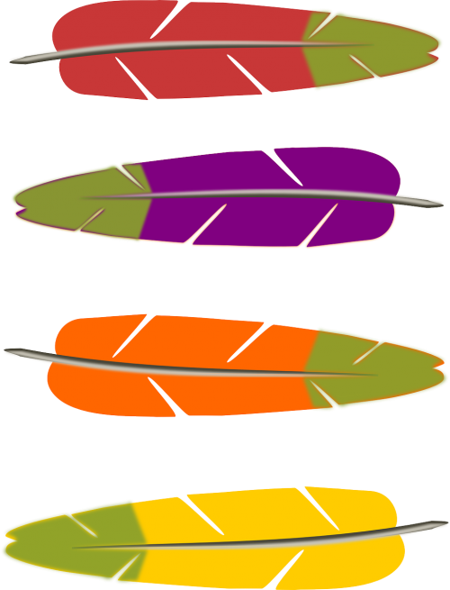 Plunksnos, Paukštis, Spalvinga, Papūga, Nemokama Vektorinė Grafika