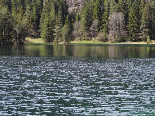 Fernsteinsee, Vanduo, Žalias, Ežeras, Medžiai