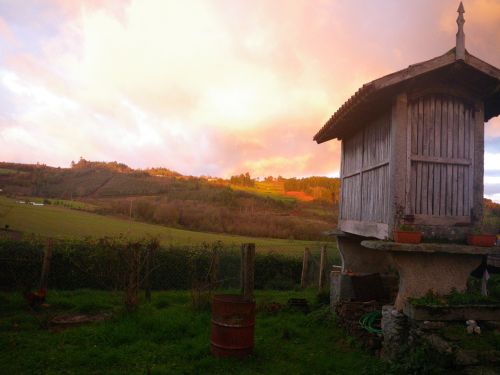 Laukas, Saulėlydis, Kraštovaizdis