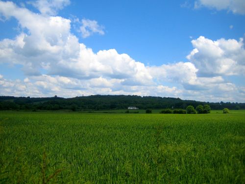 Namas,  Laukas,  Laukas