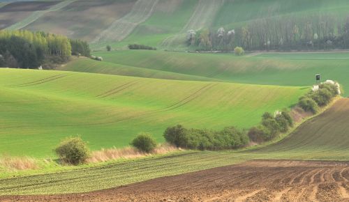 Laukas, Gamta, Kraštovaizdis