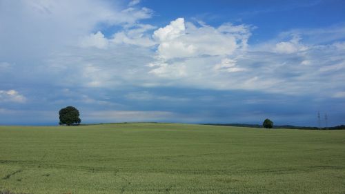 Laukas, Medis, Debesys, Dangus, Kraštovaizdis, Mėlynas, Gamta