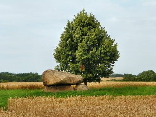 Laukas,  Kraštovaizdis,  Žemdirbystė,  Gamta,  Medis,  Be Honoraro Mokesčio