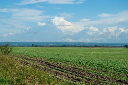 Laukas, Debesys, Kraštovaizdis