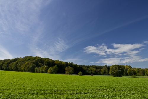 Laukas, Hemmel, Miškas, Medžiai, Kraštovaizdis, Žalias, Gamta, Vasara