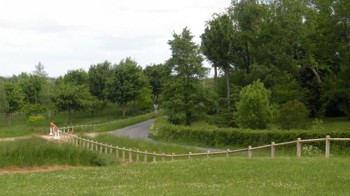 Laukas, Kraštovaizdis, Gamta, Medžiai, France