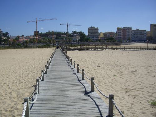 Figueira Da Foz, Portugal, Papludimys
