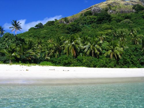 Fidžis, Papludimys, Atogrąžų, Smėlis, Vanduo, Delnas, Ramiojo Vandenyno Regionas, Yasawa Salos