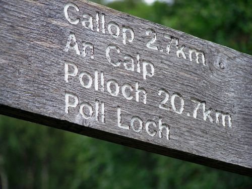 Škotija,  Highlands,  Lochaber,  Kalvotė,  Česnakai,  Polloch,  Apklausa & Nbsp,  Loch,  Rask Savo Kelią