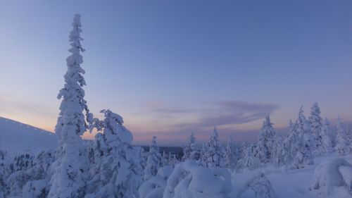 Finland, Žiema, Sniegas, Snieguotas, Arktinis Apskritimas, Laplandas