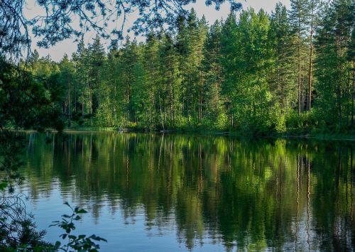 Finland, Ežeras, Miškas, Apmąstymai
