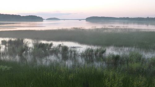 Finland, Ežeras, Gamta, Kraštovaizdis, Abendstimmung
