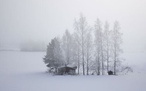 Finland, Sniegas, Laukas, Šaltas, Kajutė, Medžiai, Žiema, Kraštovaizdis, Balta
