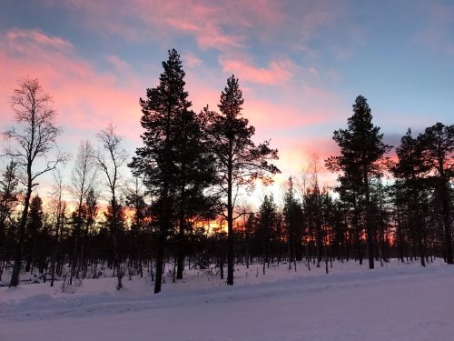 Finland, Medžiai, Žiema, Dangus, Spalva, Sniegas, Šaltas, Šiltas Dangus, Saulėlydis