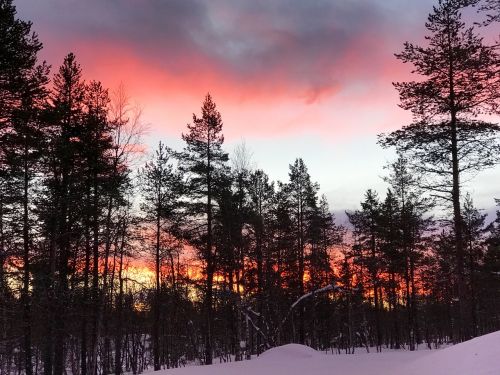 Finland, Medžiai, Gamta, Dangus, Žiema, Sniegas, Šiltas Dangus, Saulėlydis