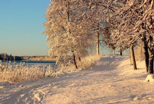 Finland, Pėsčiųjų Takas, Takas, Kelias, Juostos, Medžiai, Kraštovaizdis, Vaizdingas, Gamta, Lauke, Žiema, Sniegas, Ledas
