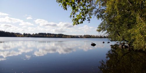 Finland, Tamperė, Arboretum, Kraštovaizdis, Gamta, Ežeras, Dangus, Vanduo
