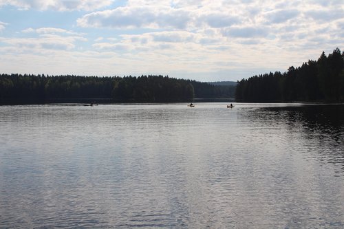 Suomija,  Vandens,  Medžiai,  Baidarės,  Ežeras