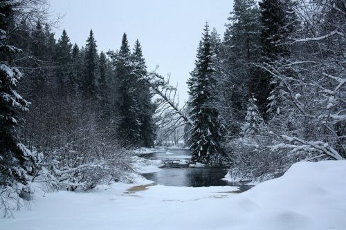 Finland, Kraštovaizdis, Žiema, Sniegas, Ledas, Srautas, Upė, Tvenkinys, Vanduo, Miškas, Medžiai, Miškai, Gamta, Lauke, Šalis, Kaimas, Kaimas, Dangus, Debesys, Vaizdingas