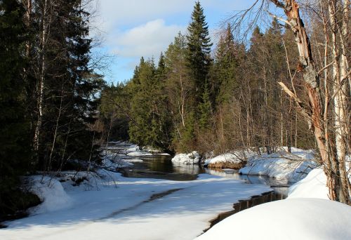 Finland, Kraštovaizdis, Žiema, Sniegas, Ledas, Srautas, Upė, Tvenkinys, Vanduo, Miškas, Medžiai, Miškai, Gamta, Lauke, Šalis, Kaimas, Kaimas, Dangus, Debesys, Vaizdingas